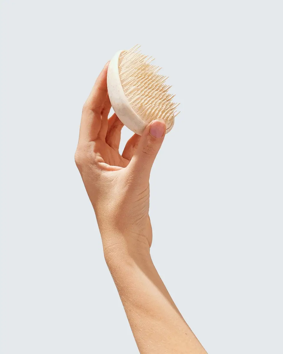 Wet Hair Detangler Brush, White - Image 7